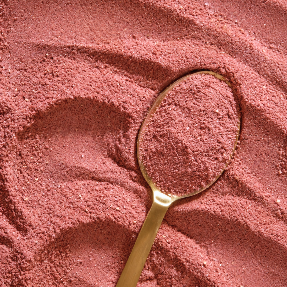 Close-up of PinkDawn Velvet Spice pink chai latte powder mix with a gold scoop.
